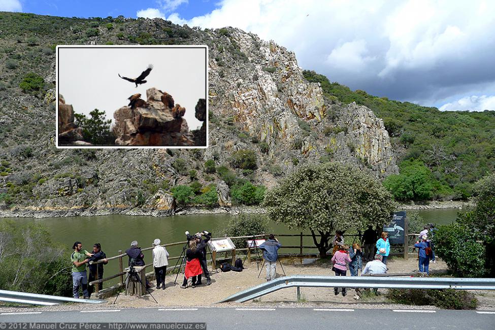 Parque Nacional de Monfragüe (Cáceres).